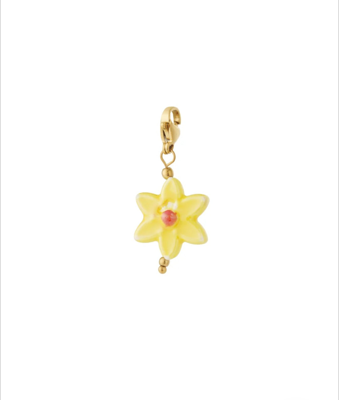 Charm Blumi