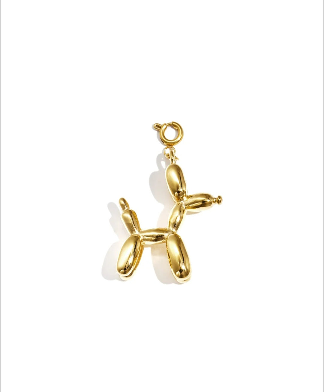 Charm Dog