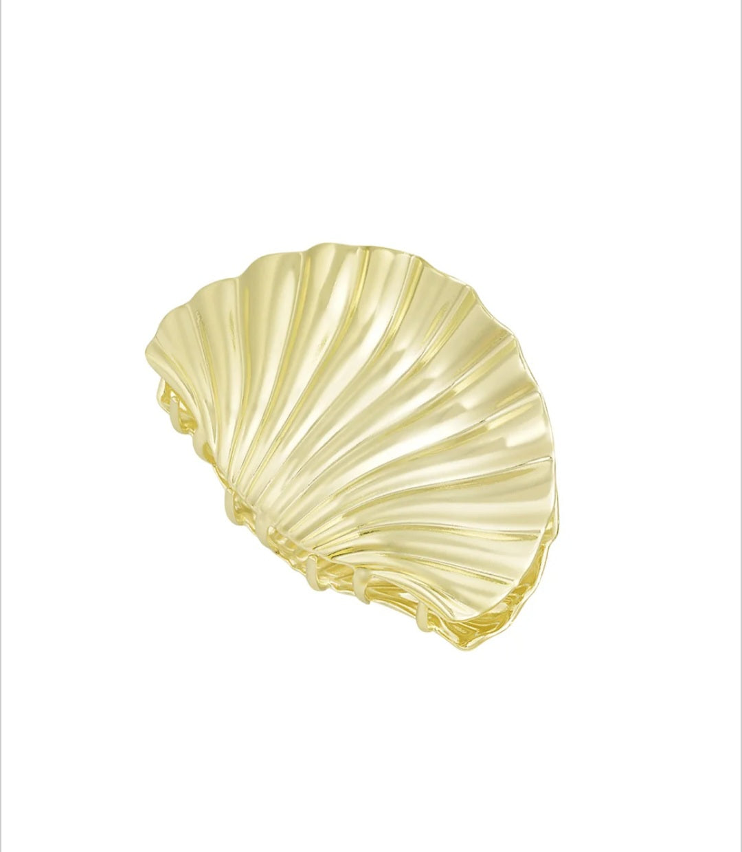 Muschel Haarspange